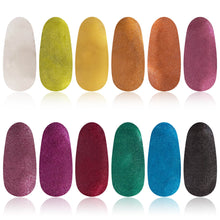 Load image into Gallery viewer, Nail Polish Set with 12 Semi Glossy and Shimmery Finishes
